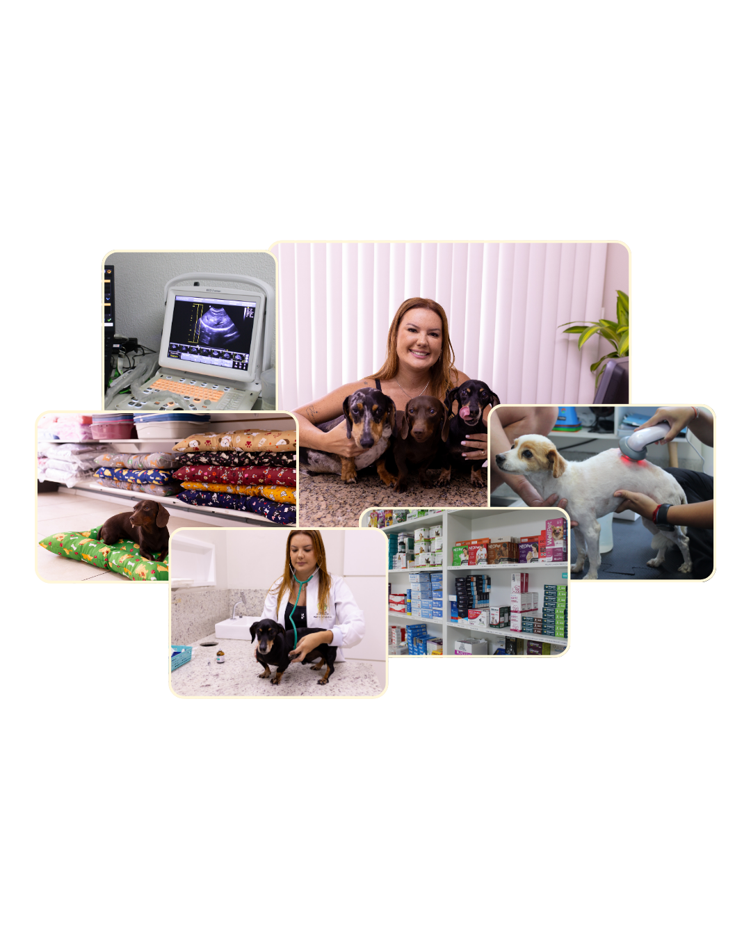 Colagem com serviços e estrutura do Hospital Veterinário Petlândia